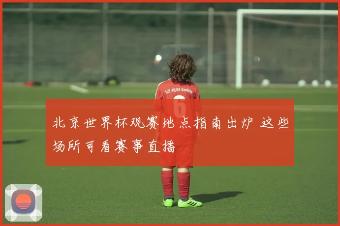 北京世界杯观赛地点指南出炉 这些场所可看赛事直播