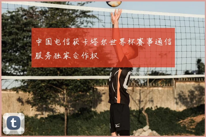 中国电信获卡塔尔世界杯赛事通信服务独家合作权
