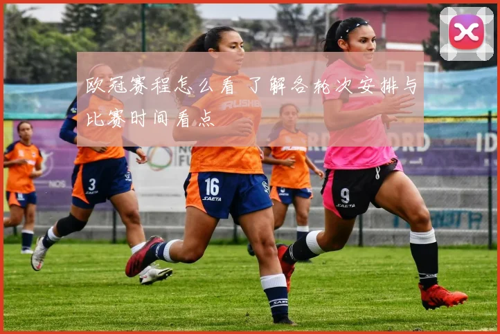欧冠赛程怎么看 了解各轮次安排与比赛时间看点