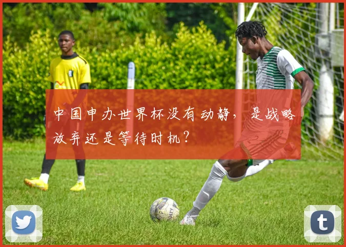 中国申办世界杯没有动静，是战略放弃还是等待时机？
