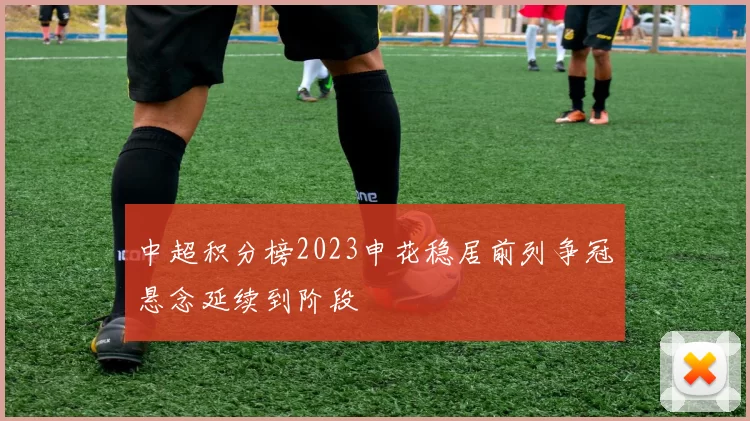 中超积分榜2023申花稳居前列争冠悬念延续到阶段