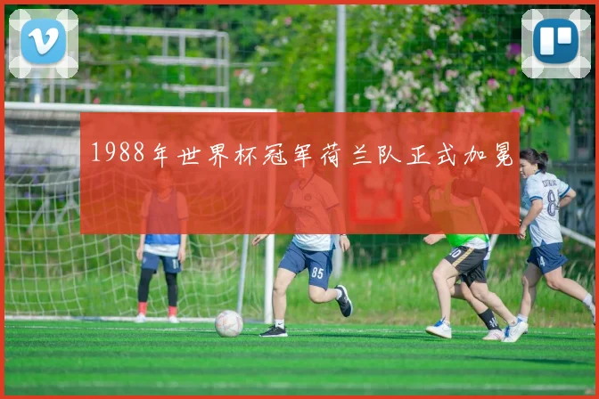 1988年世界杯冠军荷兰队正式加冕