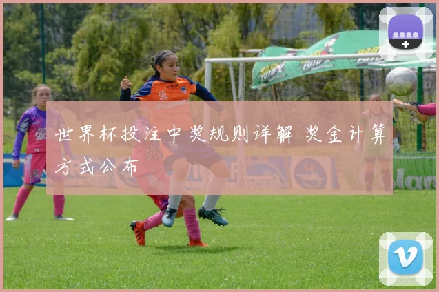 世界杯投注中奖规则详解 奖金计算方式公布