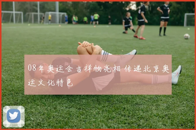 08年奥运会吉祥物亮相 传递北京奥运文化特色
