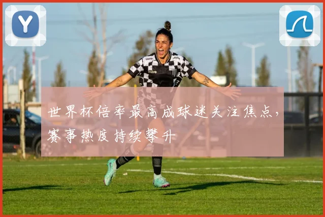 世界杯倍率最高成球迷关注焦点,赛事热度持续攀升