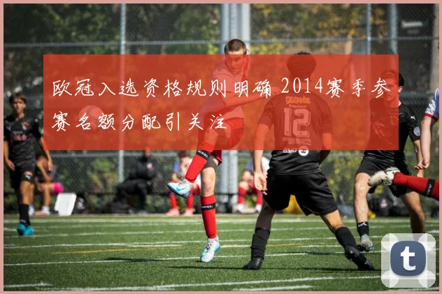 欧冠入选资格规则明确 2014赛季参赛名额分配引关注
